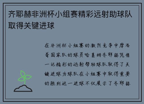 齐耶赫非洲杯小组赛精彩远射助球队取得关键进球