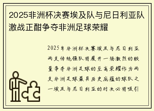 2025非洲杯决赛埃及队与尼日利亚队激战正酣争夺非洲足球荣耀